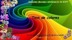 Test de colores